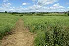 Chadlington, Oxfordshire walk