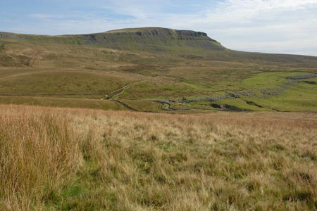 Pen-y-ghent from Whitber Hill