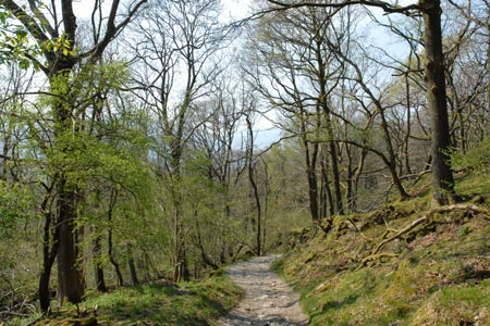 The path through Skeghyll Wood