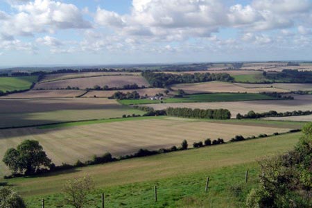View over South Downs from Old Winchester Hill