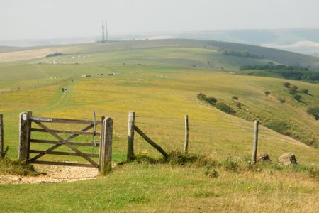 View to Beddingham Hill from Firle Beacon, South Downs Way