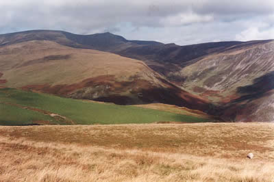 View north towards Moel Sych and Cadair Berwyn