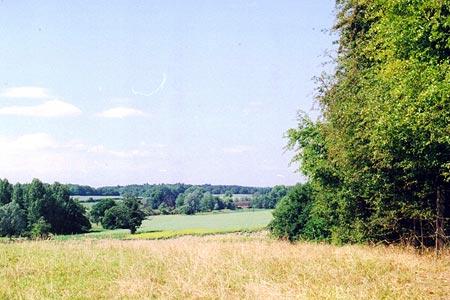 The Ash valley near Wareside