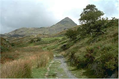 On the approach from Croesor to Cnicht