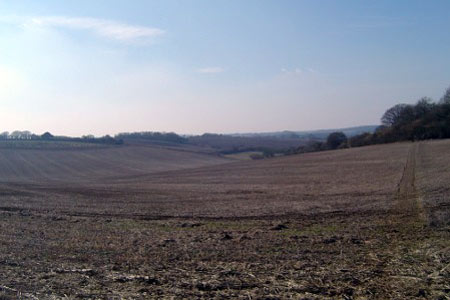 View over the downs heading towards Park Copse