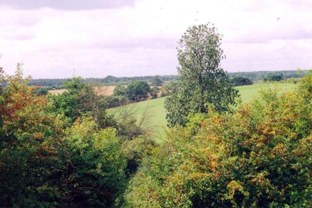 The view above Clophill