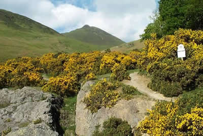 Photo from the walk - Causey Pike
