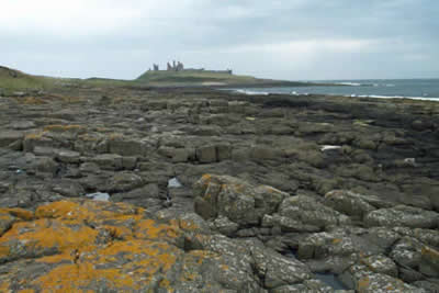 Looking north from Craster towards Dunstanburgh Castle