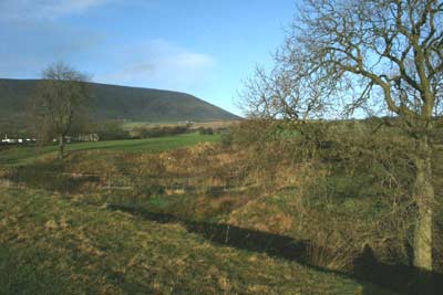 Pendle Hill from between Barley & Ings End