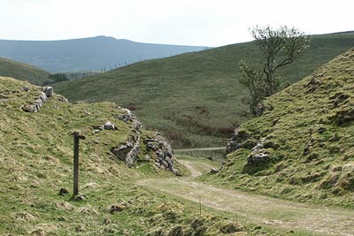 From Trollers Gill path climbs to Appletreewick Pasture