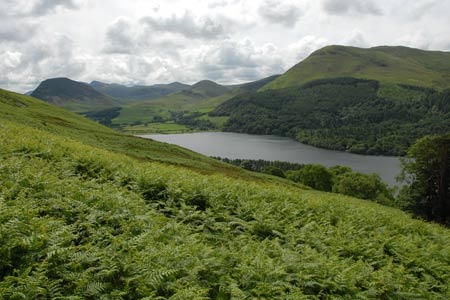 View to Loweswater and the fells beyond from Mosser Lane