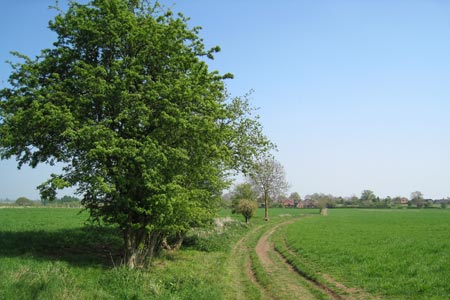 Open countryside on Millenium Way near Broughton Hackett