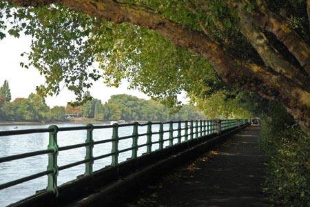The Thames Path runs beside Bishops Park, Fulham