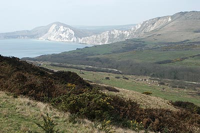 View west along Dorset Coast from Tyneham Cap