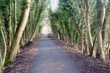 Old NER track, now a cycleway from Ripley to Knaresborough