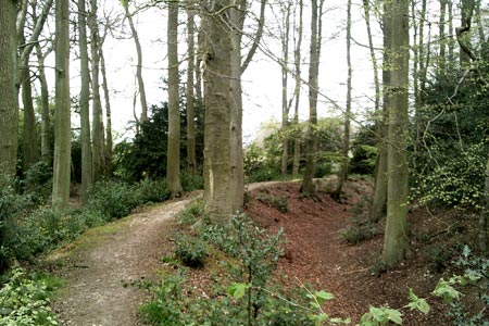 Cholesbury Hill Fort.
