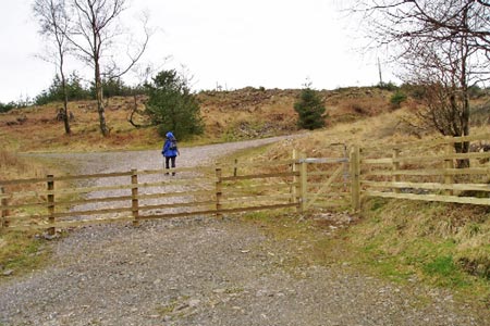 Entering the cleared forest from Sow How Lane