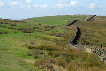 Path across Park Moor above Lyme Hall