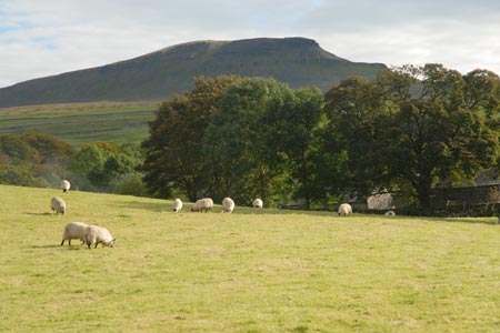 Pen-y-ghent from the village of Horton in Ribblesdale