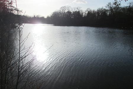 Sunlight gleaming on the boating lake, the  Highams Park