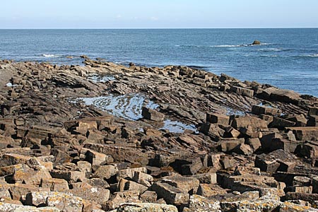 The rugged shoreline at Fife Ness 
