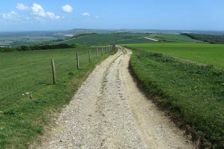 South Downs Way by Toby's Stone
