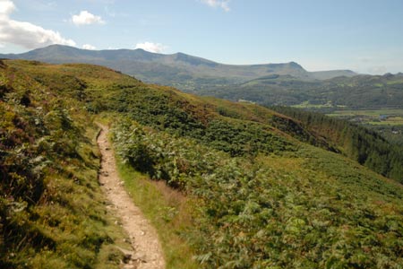 Precipice Walk - the view to Cadair Idris
