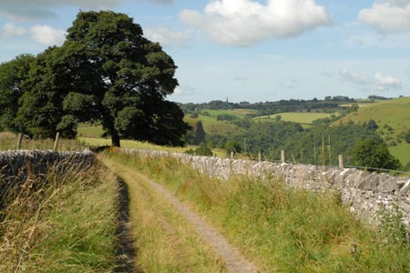 The track leading from Wetton to Thors Cave
