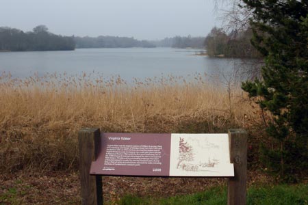 View of Virginia Water lake from car park