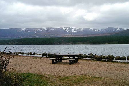 No shortage of picnic tables dotted all round Loch Morlich