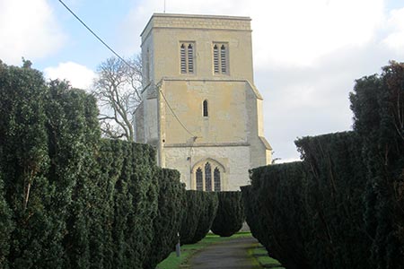 The church at Cheddington between an avenue of yew trees