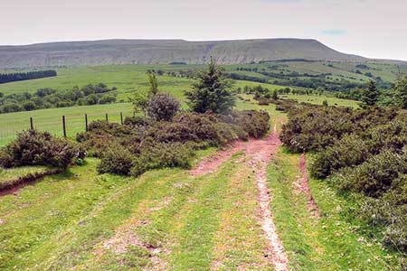 View over Hay Bluff from Cefn Hill
