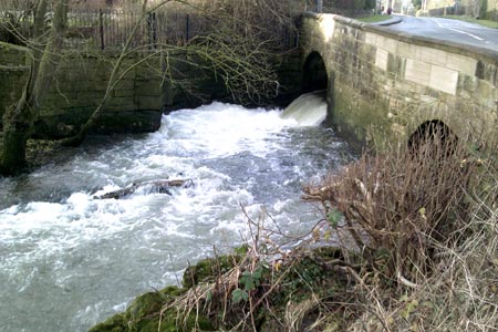 River Evenlode near to Kingham