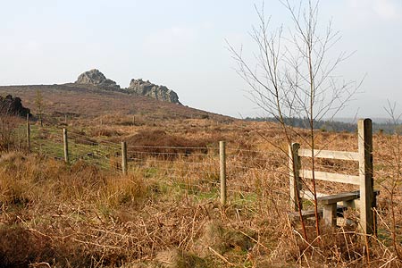 Quartzite outcrop at south end of Stiperstones