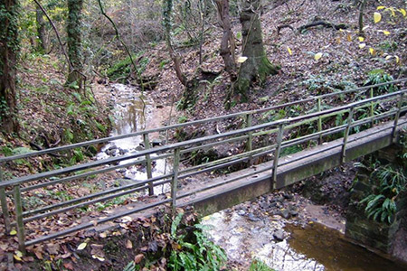 Wooden footbridge in Over Dale