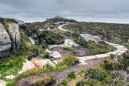Paved path winding among rocks, Simonside Hills
