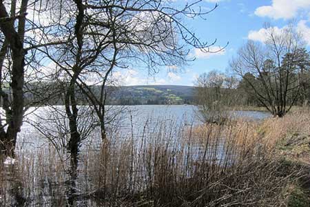 Photo from the walk - Blagdon Lake