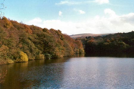 Autumn at Roddlesworth reservoirs