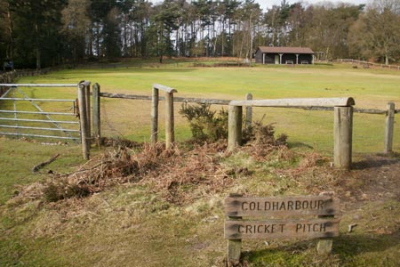 Coldharbour Cricket Pitch, Surrey