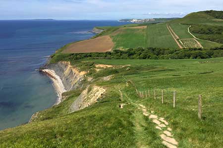 Photo from the walk - Houns-tout Cliff from Kingston