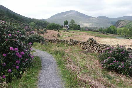 Llyn Dinas, view to Moel Hebog