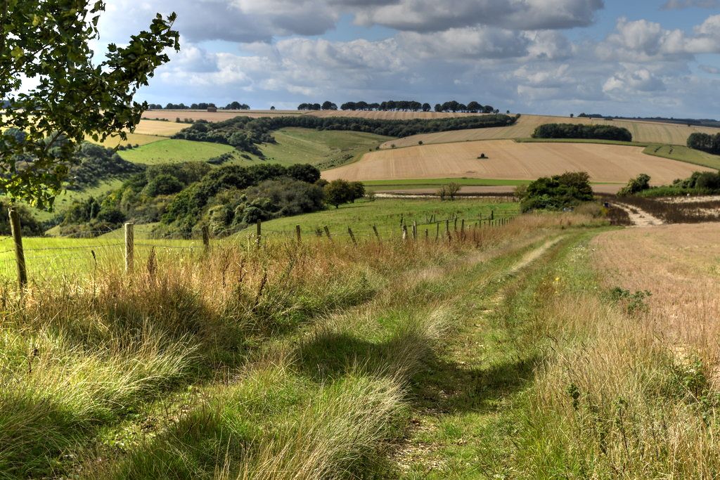 Grassy track on Knighton Hill, Wiltshire