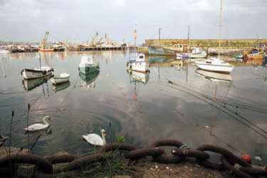 The Harbour at Newlyn, a few miles west of Penznace