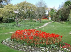 The Morrab Gardens in Springtime, Penzance