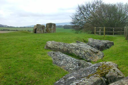 Sarsen stones at Coldrum Lon Barrow