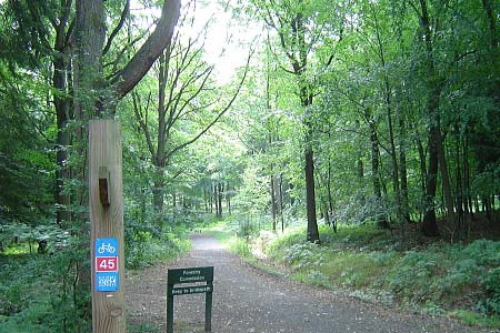 Cycle route 45 through the Wyre Forest