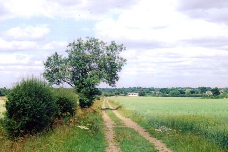 From Potton Woods to Gamlingay