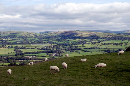 Looking across the Dane Valley from the Cloud
