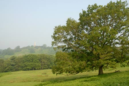 The Obelisk on the Eastnor Estate from near Hollybush