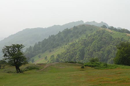 Swinyard Hill and Midsummer Hill from Hangman's Hill